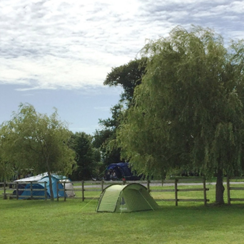 The Campsite at Bullock Farm